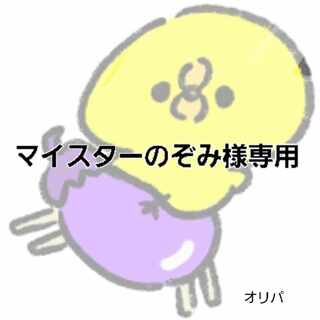 マイスターのぞみ様専用