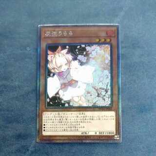 Ash Blossom & Joyous Spring EXSE JP009 [Korindo