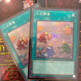 Fossil Dig Secret Rare JP054