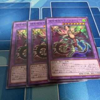 Predaplant Dragostapelia Super Rare JP028