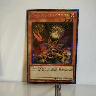 Yu-Gi-Oh Lonefire Blossom Collector's Rare A+ JP002 RARITY COLLECTION -QUARTER CENTURY EDITION-