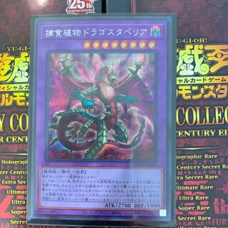 Predaplant Dragostapelia Secret Rare JP028