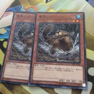 素早いビーバー二枚