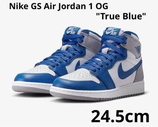 Nike Air Jordan 1 High OG "True Snubbull" True Snubbull/Ho Wight/Cement Grey DZ5485-410 24.5cm