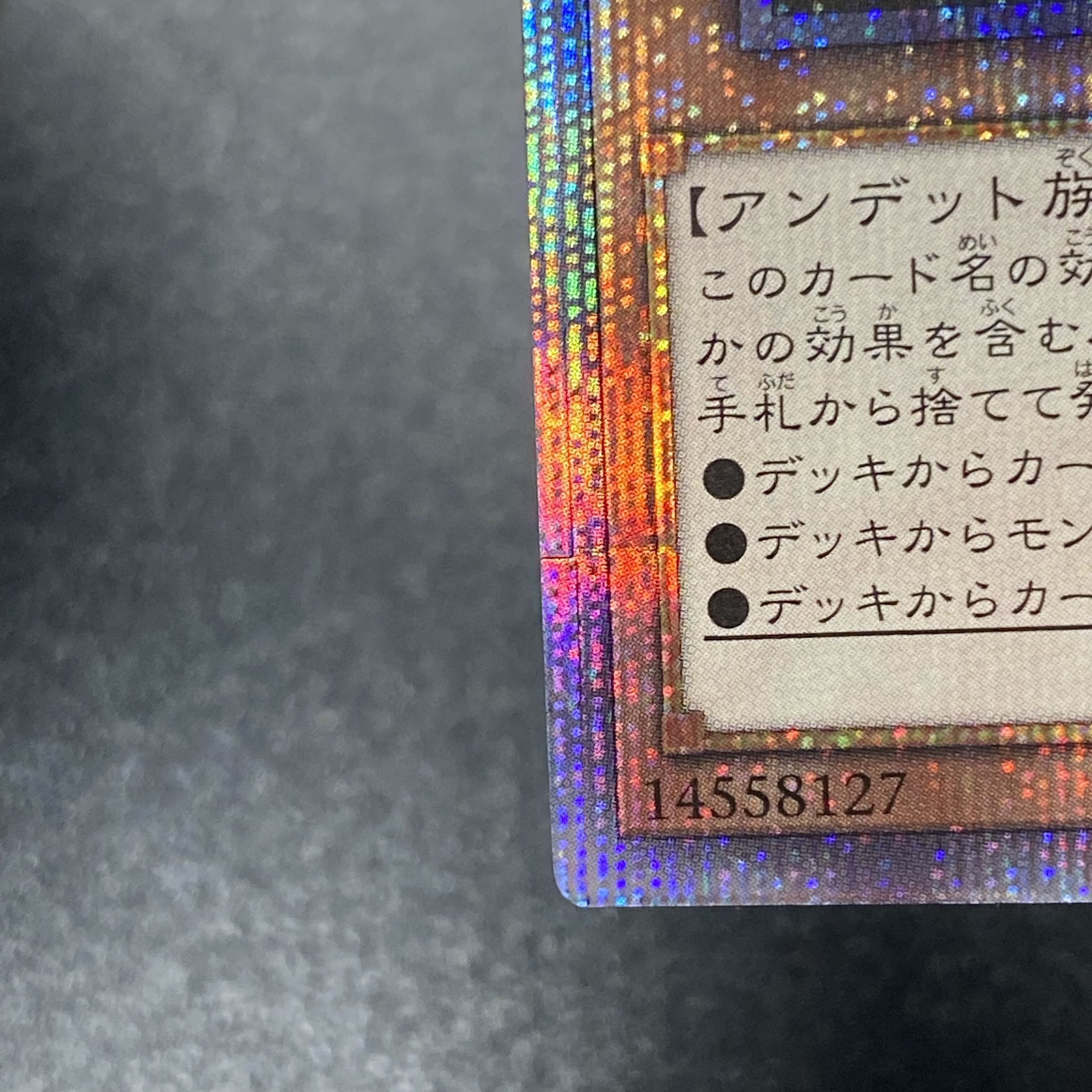 Ash Blossom & Joyous Spring 25th RC04-JP009