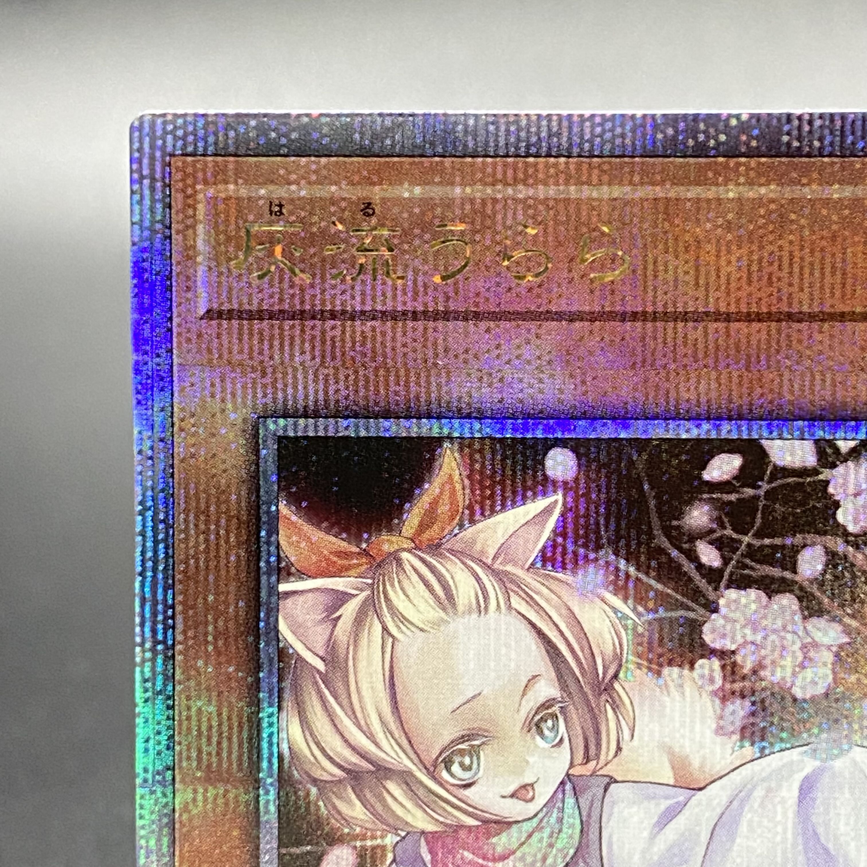 Ash Blossom & Joyous Spring 25th RC04-JP009