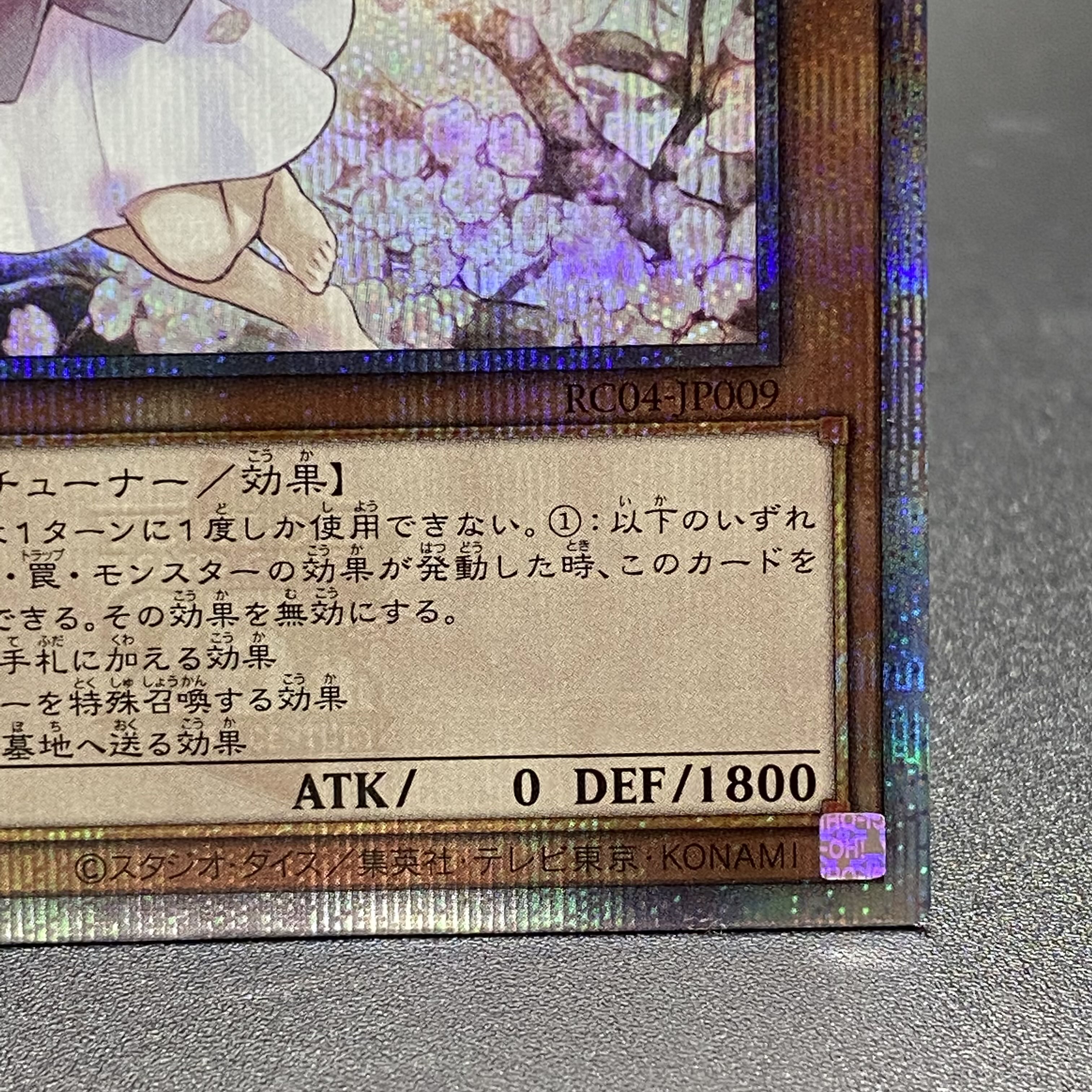 Ash Blossom & Joyous Spring 25th RC04-JP009