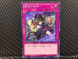 【アゴ之内】遊戯王 揺るがぬ絆 ノーマル