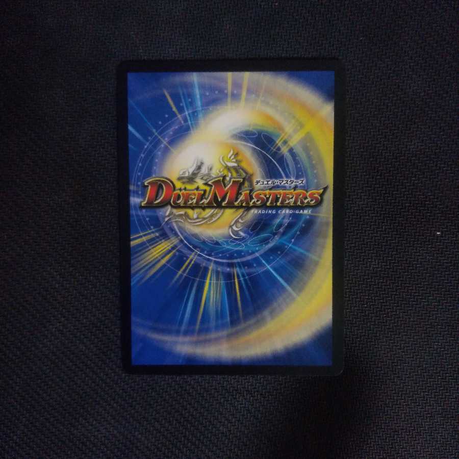 「絶対の楯騎士」