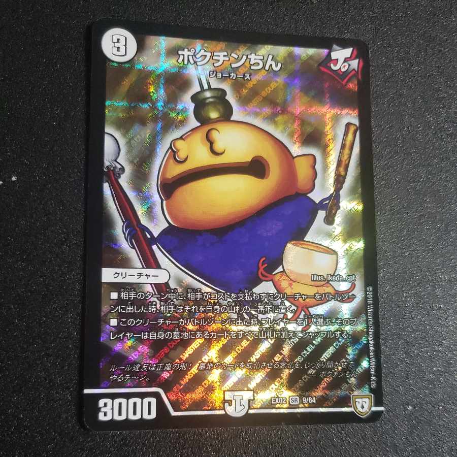 Pokuchin Chin SR 9/84