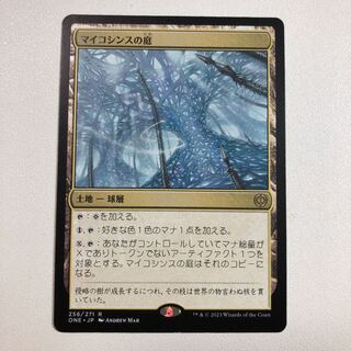 The Garden of Mykosins and the revered monk Decomposition (Nyanzibah)