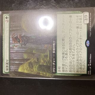 Realmwalker Rare 366/285