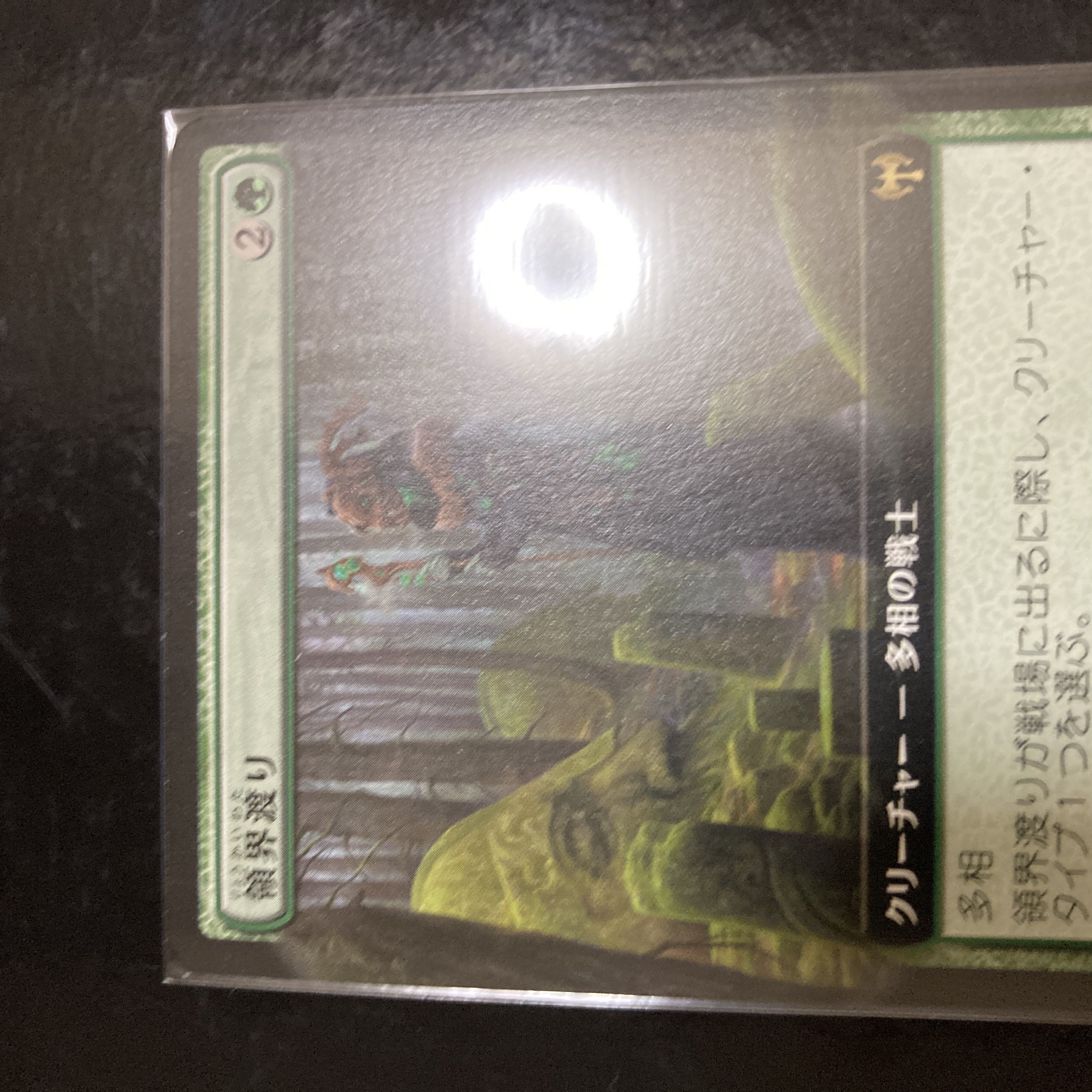 Realmwalker Rare 366/285