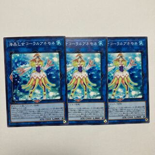 Marincess Coral Anemone Normal JP041