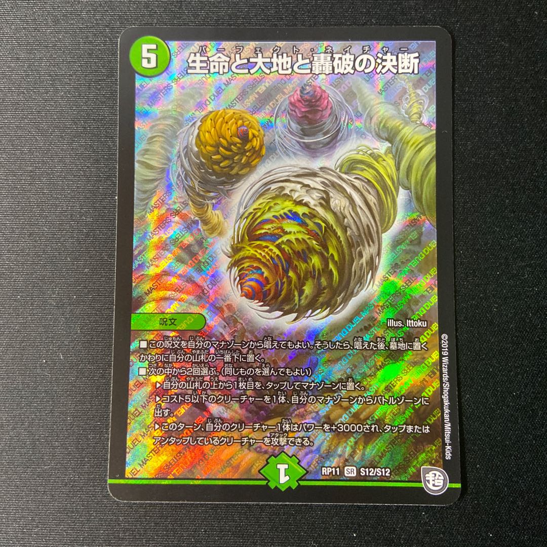 Life Life, Earth and Roaring Decision SR S12/S12