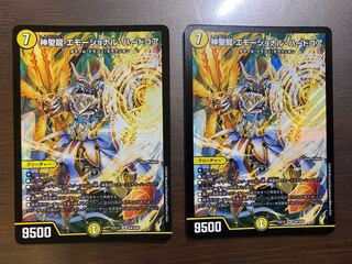 神聖龍 エモーショナル・ハードコア 2枚