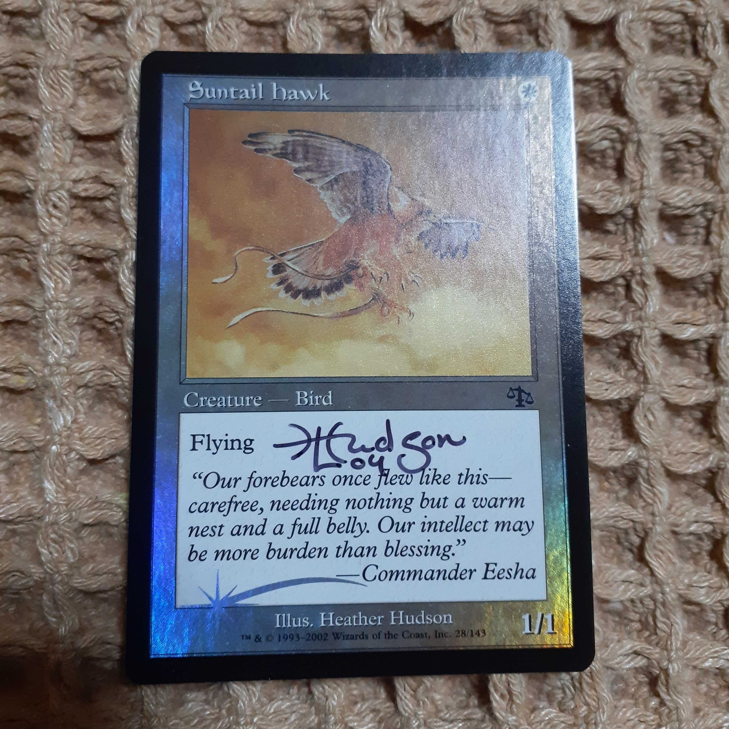 陽光尾の鷹/Suntail Hawk（ジャッジメント）Foilサイン入り