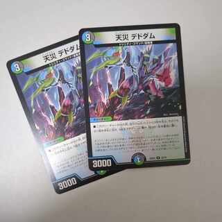 天災 デドダム R 33/75