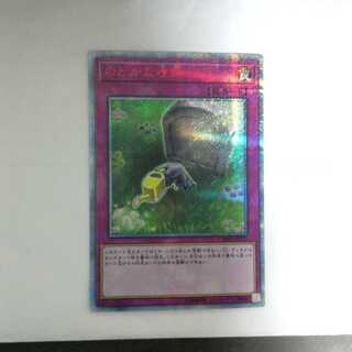 のどかな埋葬　20thシク　1枚