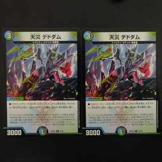 天災デドダム　22EX2 R 33/75