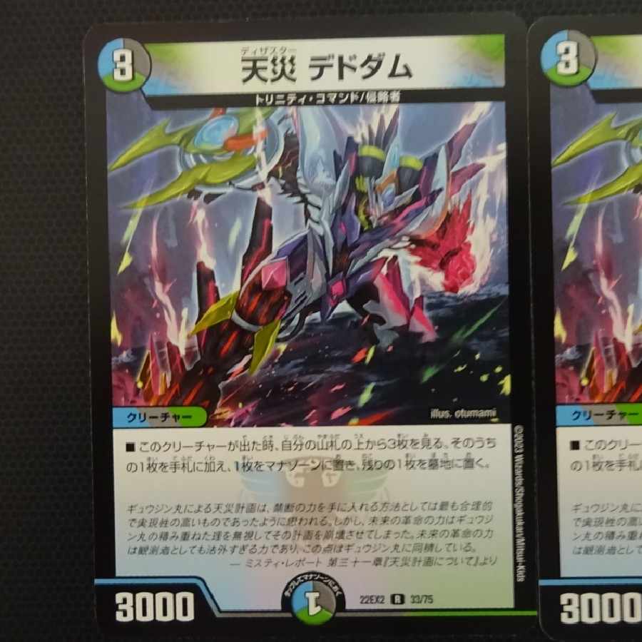 天災デドダム 22EX2 R 33/75