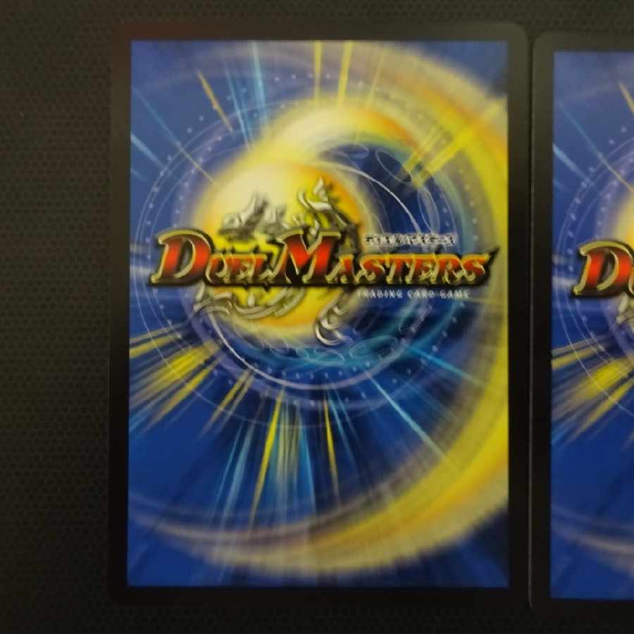 天災デドダム 22EX2 R 33/75