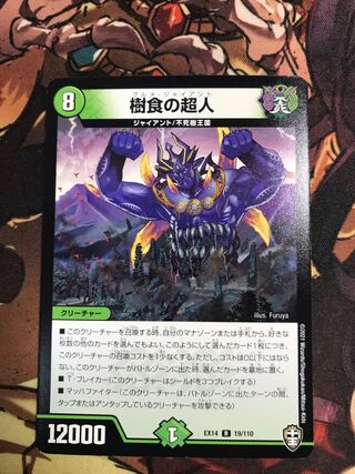 Psychic person of arboreal food R 19/110