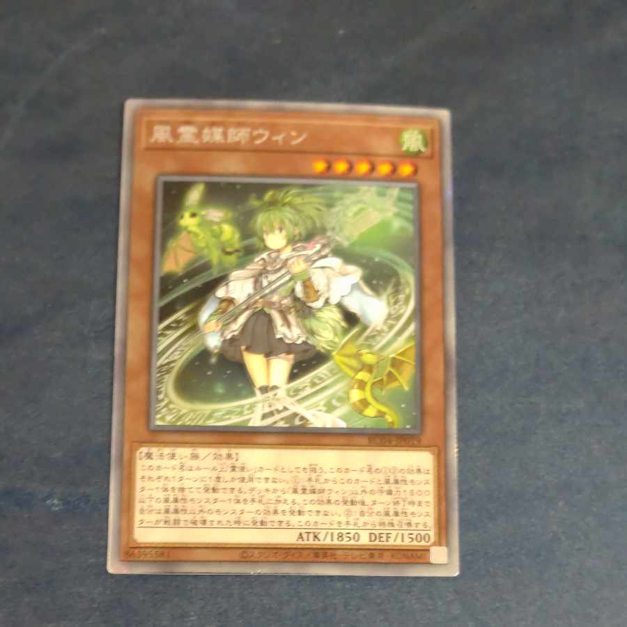 Wynn the Wind Channeler EXSE JP019