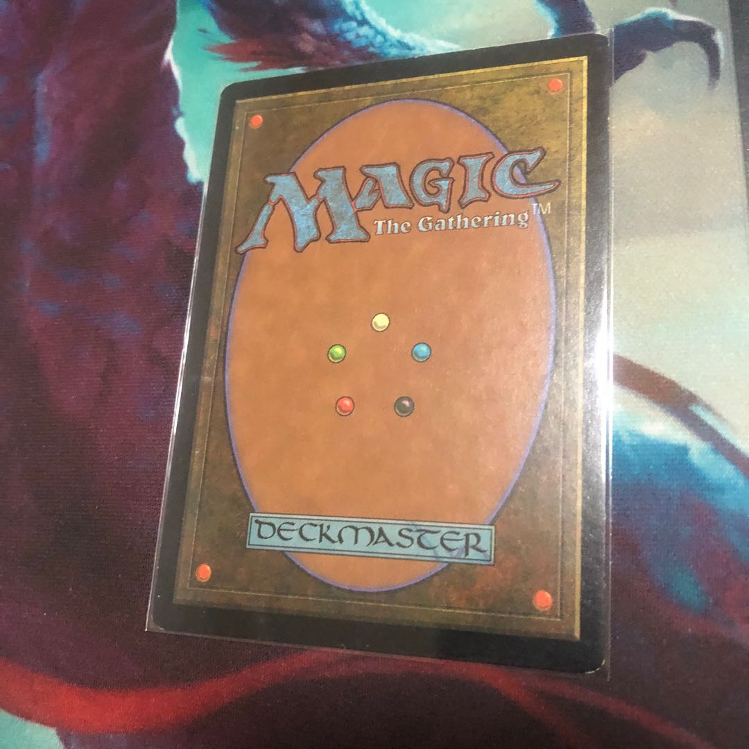 実物提示教育 日2枚セット