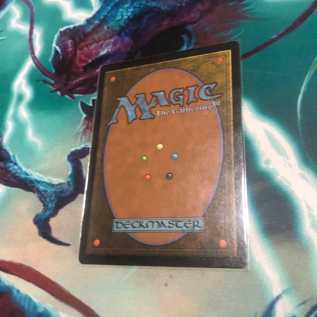 実物提示教育 日2枚セット