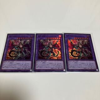 Predaplant Dragostapelia Super Rare Set of 3