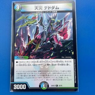 Natural disaster Dedham R 33/75