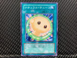 Yu-Gi-Oh! Natural Tune Normal