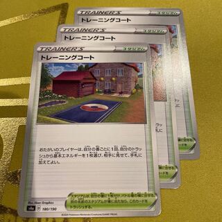 Training Court 180/190