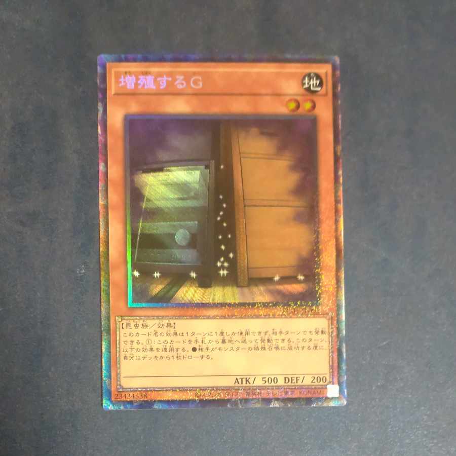 Maxx "C" Collector's Rare JP005 [Mokurindo].