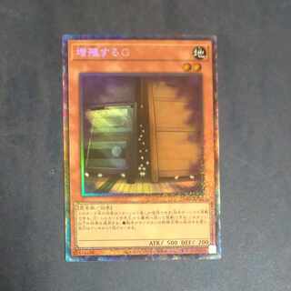 Maxx "C" Collector's Rare JP005 [Mokurindo].