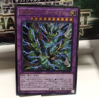 雷神龍 サンダードラゴン レリーフ サンダー ドラゴンアルティメットレア