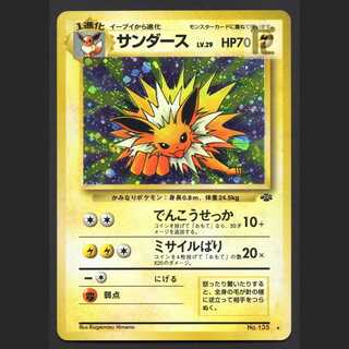 Jolteon LV.29 [Plaid] old back/managed by MP3609