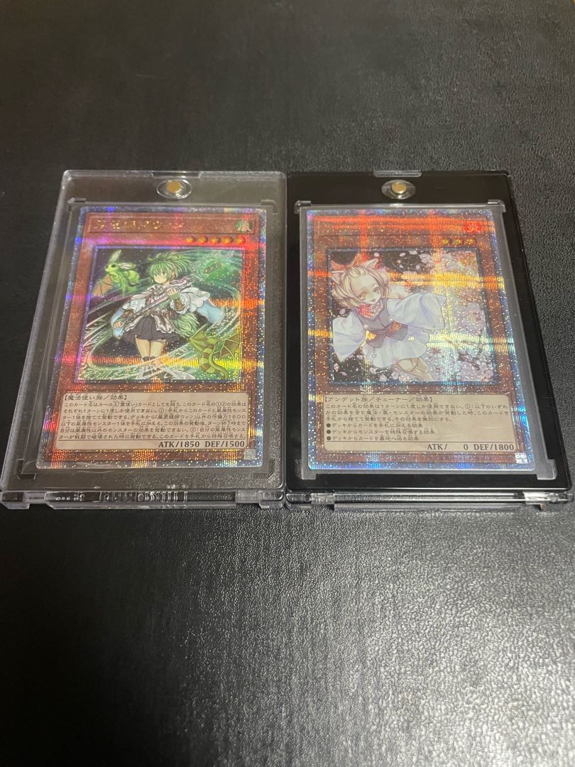 Extremely beautiful Winn, Haruura 25, set of 2