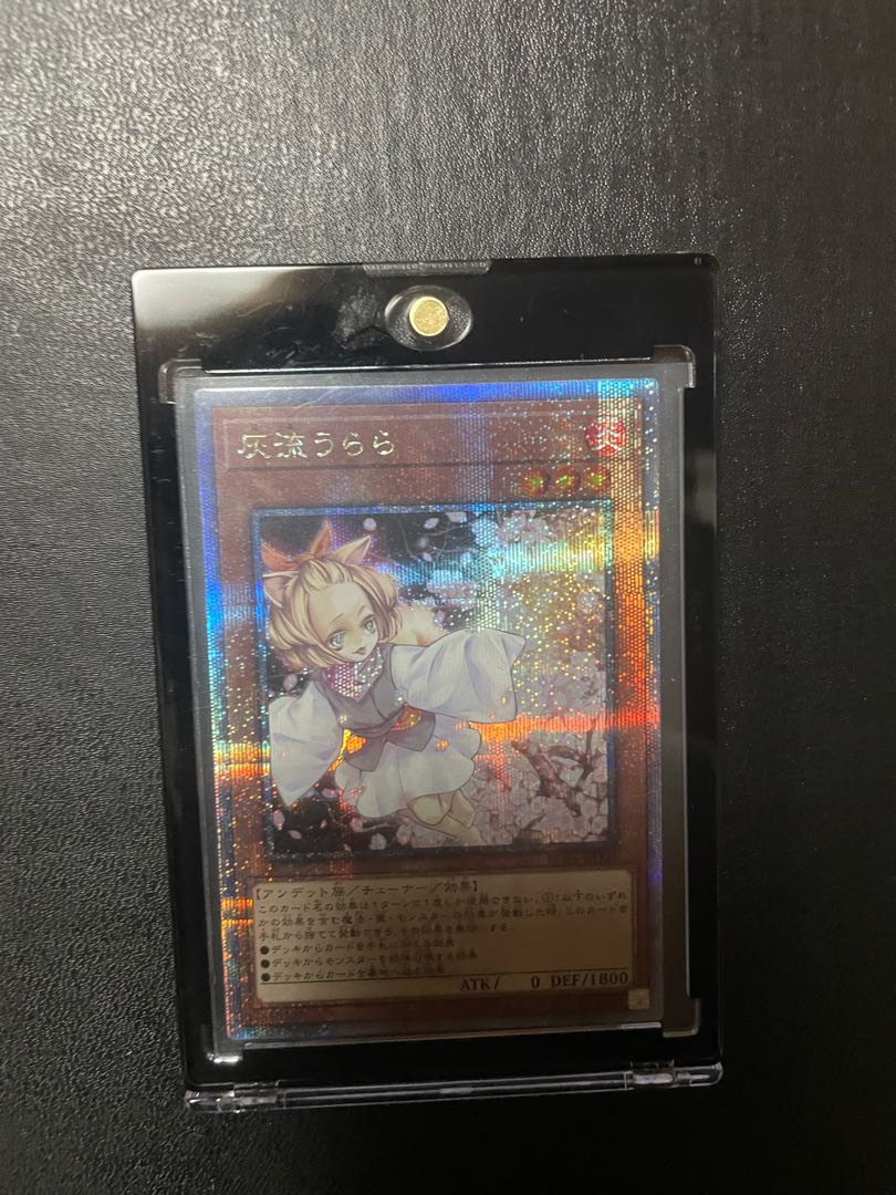 Extremely beautiful Winn, Haruura 25, set of 2