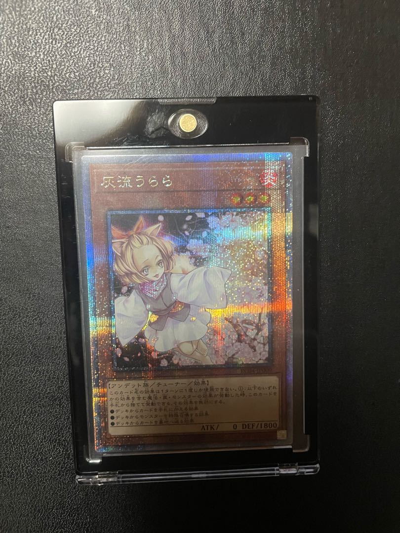 Extremely beautiful Winn, Haruura 25, set of 2