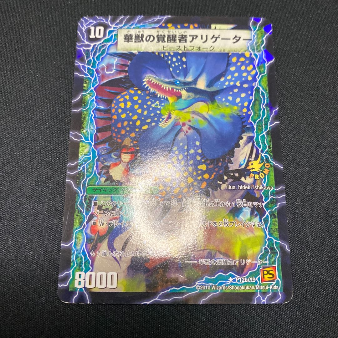 アリゲーター カイマン プロモ