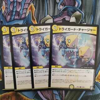 Triguard Charger R 13/95