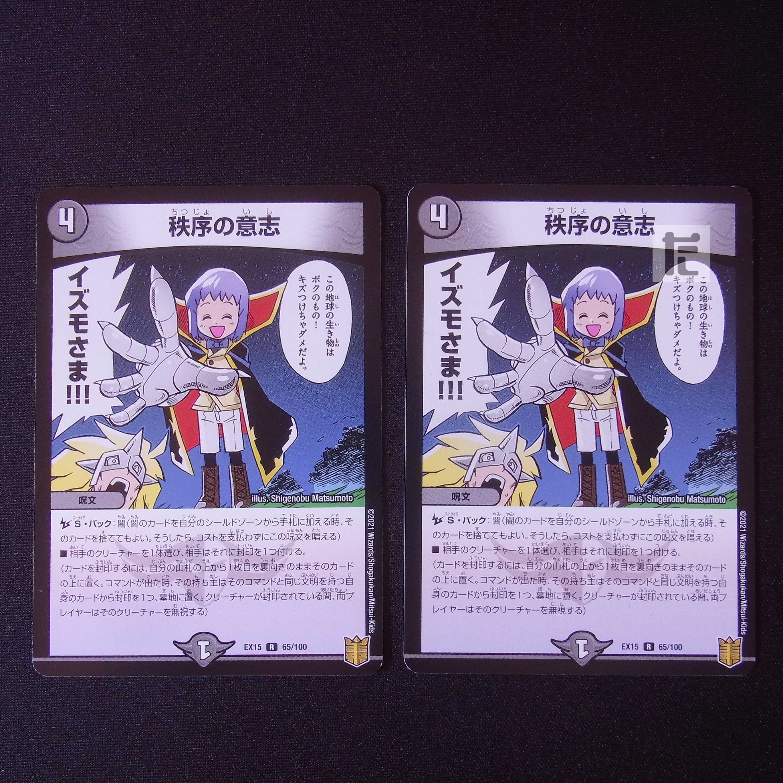 秩序の意志 R 65/110 2枚セット/管理:MD0591