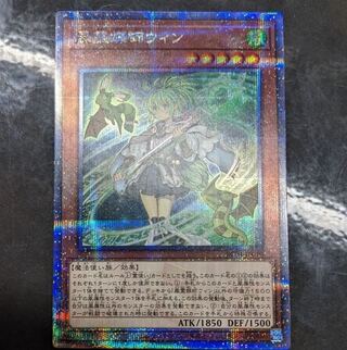 風霊媒師ウィン QSE JP019の通販 まっしゅ（1721865650） | magi