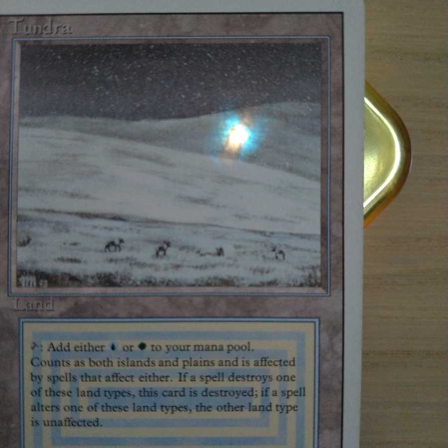 MTG Tundra Revised