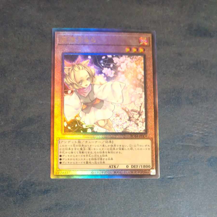 Ash Blossom & Joyous Spring Ultimate Rare JP009 [Korindo 1枚