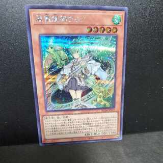 Secret Rare] Wynn the Wind Channeler