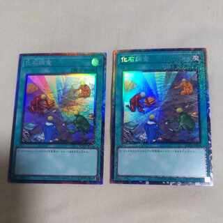 Fossil Dig Collector's Rare JP054