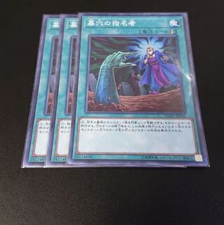 墓穴の指名者(スーパー) 3枚セット